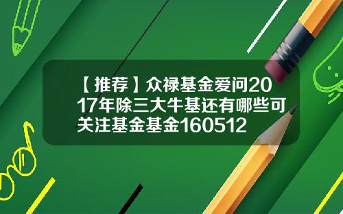 【推荐】众禄基金爱问2017年除三大牛基还有哪些可关注基金基金160512