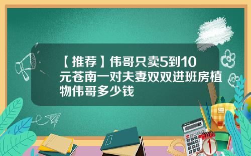【推荐】伟哥只卖5到10元苍南一对夫妻双双进班房植物伟哥多少钱