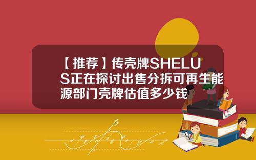 【推荐】传壳牌SHELUS正在探讨出售分拆可再生能源部门壳牌估值多少钱