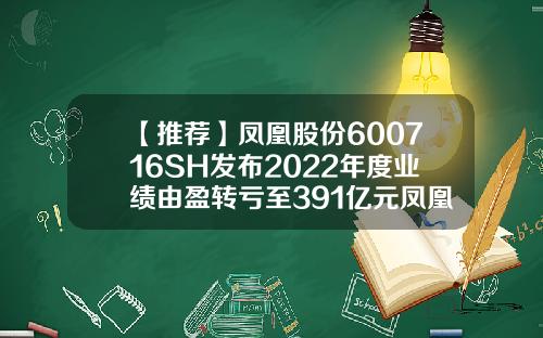 【推荐】凤凰股份600716SH发布2022年度业绩由盈转亏至391亿元凤凰股份是什么公司