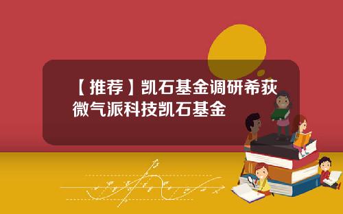 【推荐】凯石基金调研希荻微气派科技凯石基金