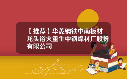 【推荐】华菱钢铁中南板材龙头浴火重生中钢焊材厂股份有限公司