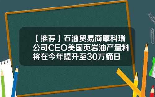 【推荐】石油贸易商摩科瑞公司CEO美国页岩油产量料将在今年提升至30万桶日
