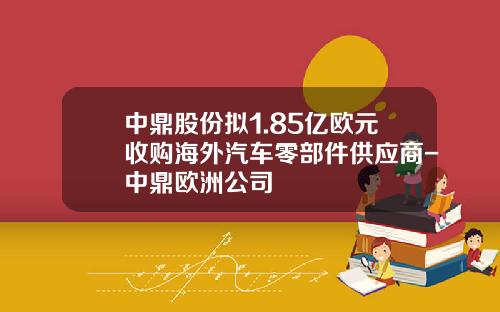 中鼎股份拟1.85亿欧元收购海外汽车零部件供应商-中鼎欧洲公司