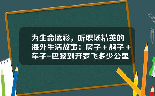为生命添彩，听职场精英的海外生活故事：房子＋鸽子＋车子-巴黎到开罗飞多少公里