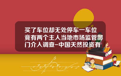 买了车位却无处停车一车位竟有两个主人当地市场监管部门介入调查-中国天然投资有限公司
