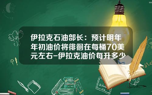 伊拉克石油部长：预计明年年初油价将徘徊在每桶70美元左右-伊拉克油价每升多少钱