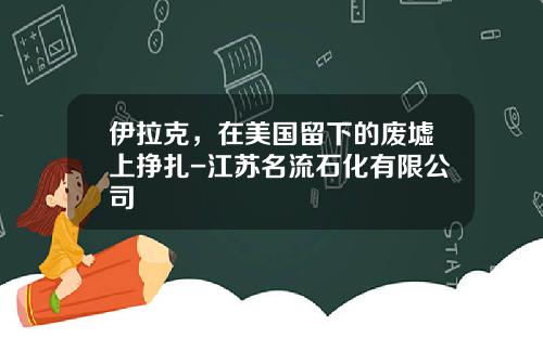 伊拉克，在美国留下的废墟上挣扎-江苏名流石化有限公司