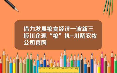借力发展粮食经济一波新三板川企现“粮”机-川娇农牧公司官网