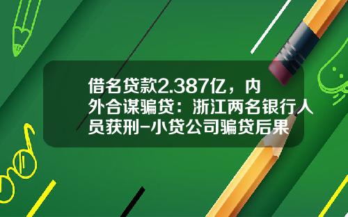 借名贷款2.387亿，内外合谋骗贷：浙江两名银行人员获刑-小贷公司骗贷后果