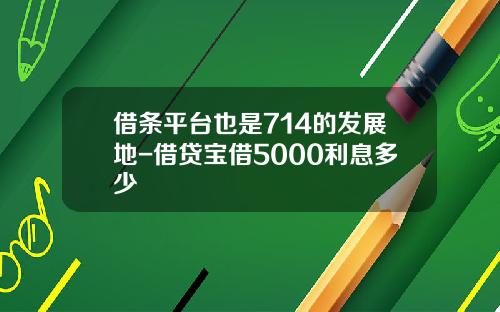 借条平台也是714的发展地-借贷宝借5000利息多少