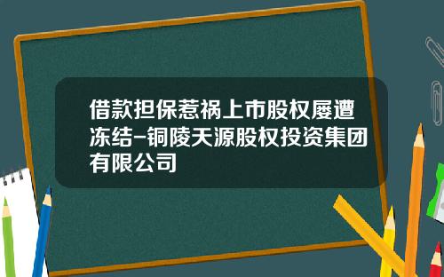 借款担保惹祸上市股权屡遭冻结-铜陵天源股权投资集团有限公司