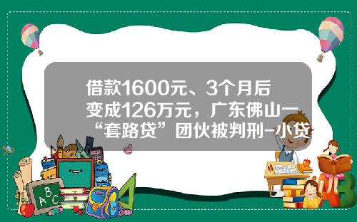 借款1600元、3个月后变成126万元，广东佛山一“套路贷”团伙被判刑-小贷宝投资管理有限公司
