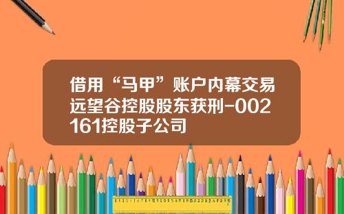 借用“马甲”账户内幕交易远望谷控股股东获刑-002161控股子公司