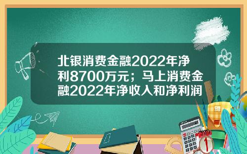 北银消费金融2022年净利8700万元；马上消费金融2022年净收入和净利润双位数增长；宁银消金两名高管任资获批丨21消费金融参考-西安北银消费金融公司