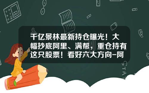 千亿景林最新持仓曝光！大幅抄底阿里、满帮，重仓持有这只股票！看好六大方向-阿里重仓基金