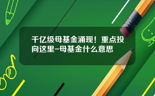 千亿级母基金涌现！重点投向这里-母基金什么意思
