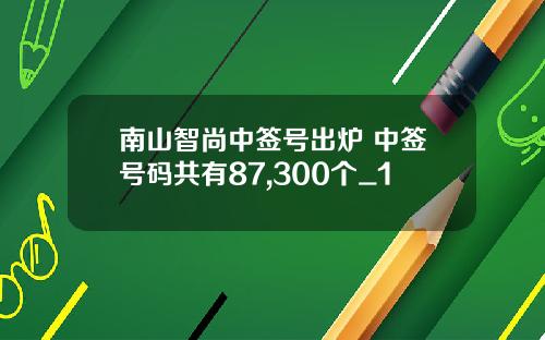 南山智尚中签号出炉 中签号码共有87,300个_1