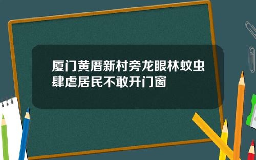 厦门黄厝新村旁龙眼林蚊虫肆虐居民不敢开门窗