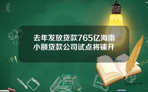 去年发放贷款765亿海南小额贷款公司试点将铺开