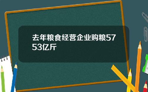 去年粮食经营企业购粮5753亿斤