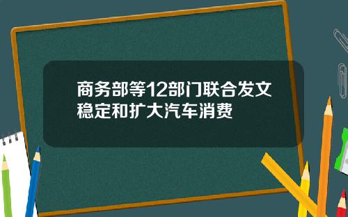 商务部等12部门联合发文稳定和扩大汽车消费