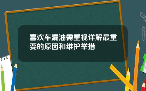 喜欢车漏油需重视详解最重要的原因和维护举措