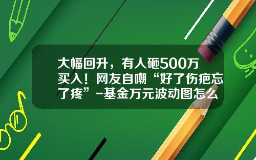 大幅回升，有人砸500万买入！网友自嘲“好了伤疤忘了疼”-基金万元波动图怎么看