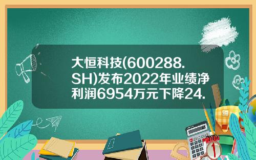 大恒科技(600288.SH)发布2022年业绩净利润6954万元下降24.36%每10派0.08元-大恒科技会涨到多少钱