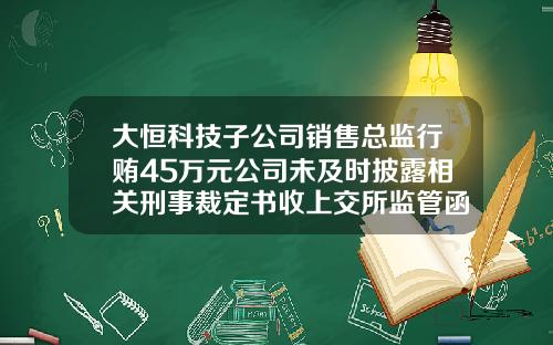 大恒科技子公司销售总监行贿45万元公司未及时披露相关刑事裁定书收上交所监管函-中科大洋要扣压多少天工资