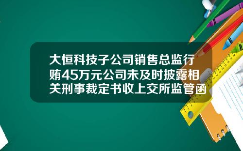 大恒科技子公司销售总监行贿45万元公司未及时披露相关刑事裁定书收上交所监管函-大恒科技小公司