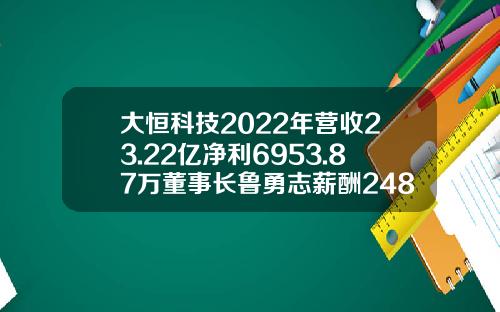 大恒科技2022年营收23.22亿净利6953.87万董事长鲁勇志薪酬248.95万-大恒科技小公司