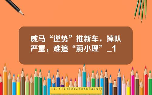 威马“逆势”推新车，掉队严重，难追“蔚小理”_1