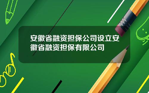 安徽省融资担保公司设立安徽省融资担保有限公司