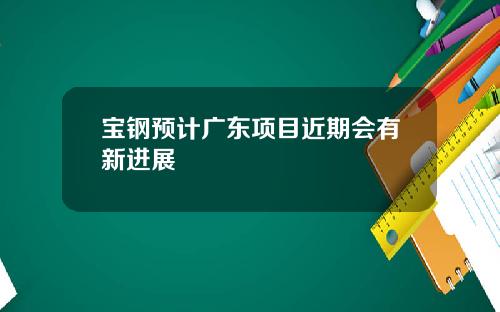 宝钢预计广东项目近期会有新进展