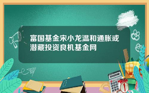 富国基金宋小龙温和通胀或潜藏投资良机基金网