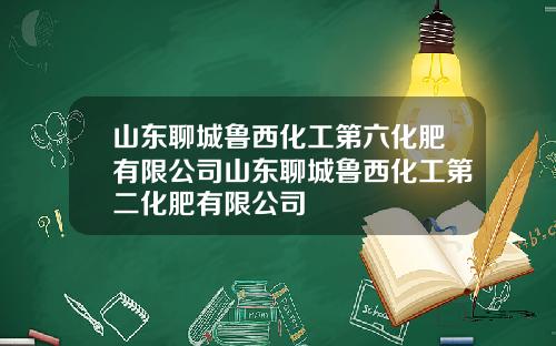 山东聊城鲁西化工第六化肥有限公司山东聊城鲁西化工第二化肥有限公司