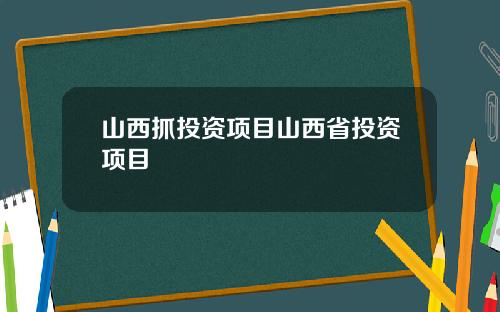山西抓投资项目山西省投资项目
