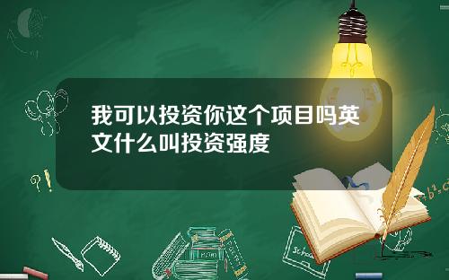 我可以投资你这个项目吗英文什么叫投资强度