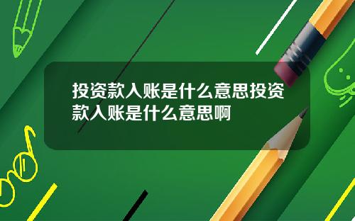 投资款入账是什么意思投资款入账是什么意思啊