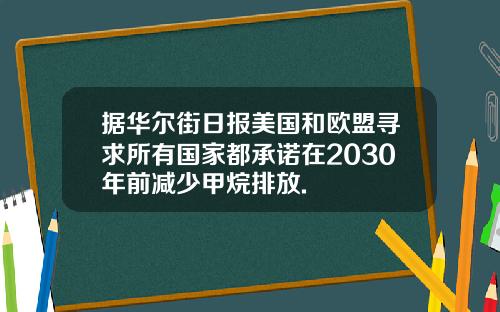 据华尔街日报美国和欧盟寻求所有国家都承诺在2030年前减少甲烷排放.
