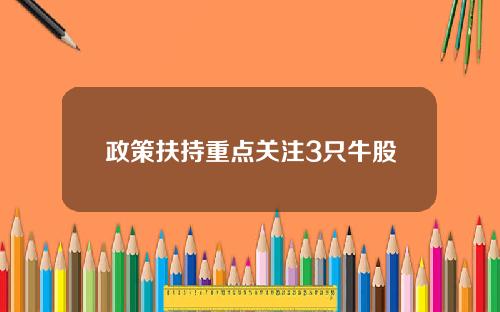 政策扶持重点关注3只牛股