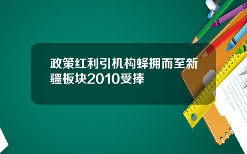 政策红利引机构蜂拥而至新疆板块2010受捧