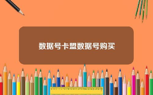 数据号卡盟数据号购买