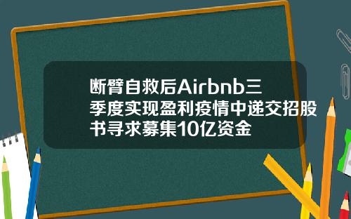 断臂自救后Airbnb三季度实现盈利疫情中递交招股书寻求募集10亿资金