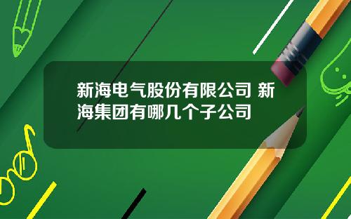新海电气股份有限公司 新海集团有哪几个子公司