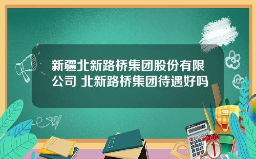 新疆北新路桥集团股份有限公司 北新路桥集团待遇好吗