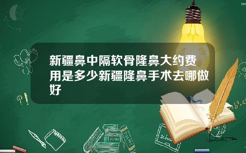 新疆鼻中隔软骨隆鼻大约费用是多少新疆隆鼻手术去哪做好