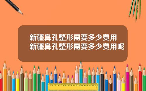 新疆鼻孔整形需要多少费用新疆鼻孔整形需要多少费用呢