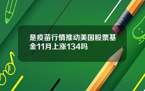 是疫苗行情推动美国股票基金11月上涨134吗